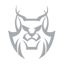 AccuLynx logo