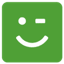 GRIN logo